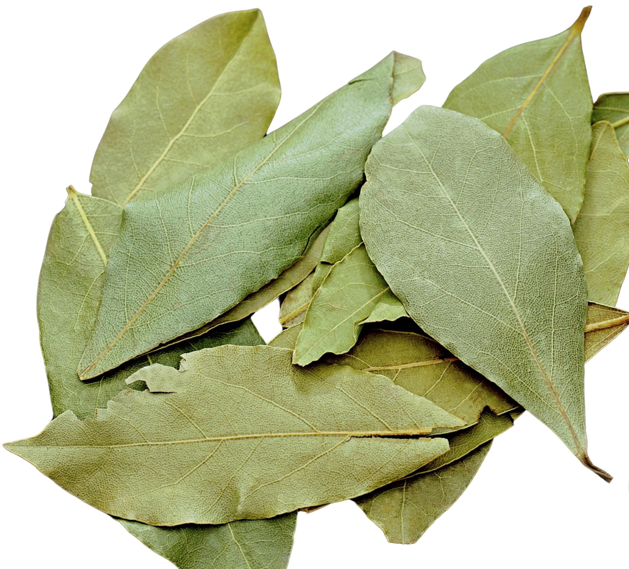 Dried Turkish bay leaves — 马尔马拉 / 黑海